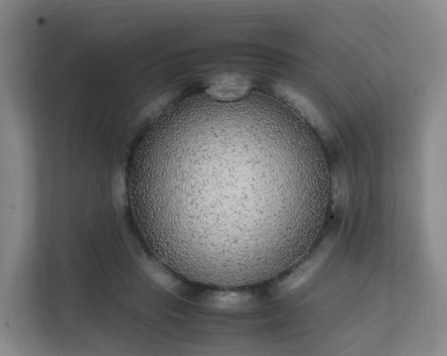 X0000111630453200907241054