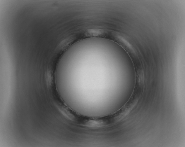 X0000111630455200907241054