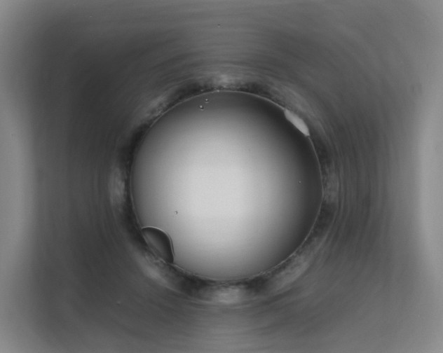 X0000111630456200907241054