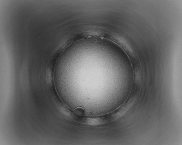 X0000111630457200907241054