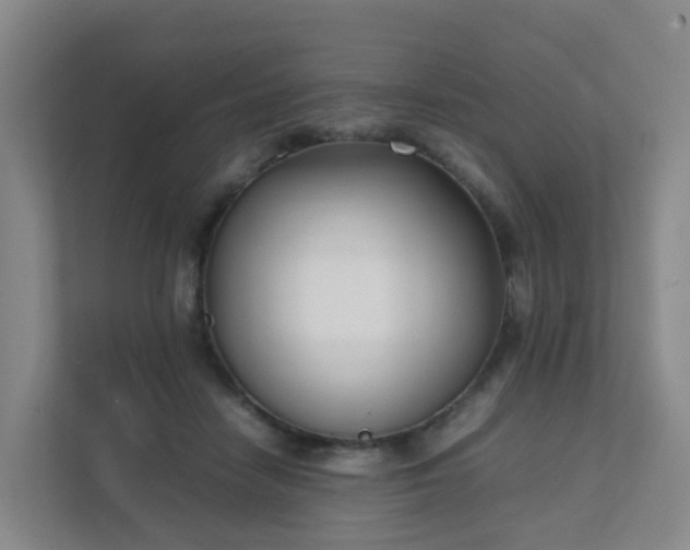 X0000111630458200907241054