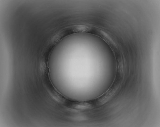 X0000111630459200907241054