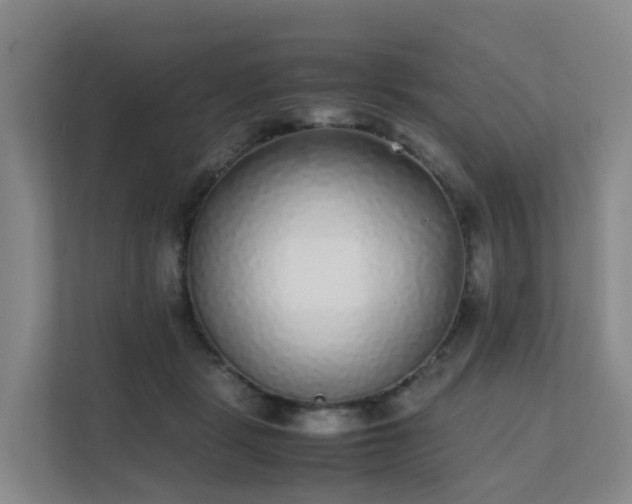 X0000111630461200907241054