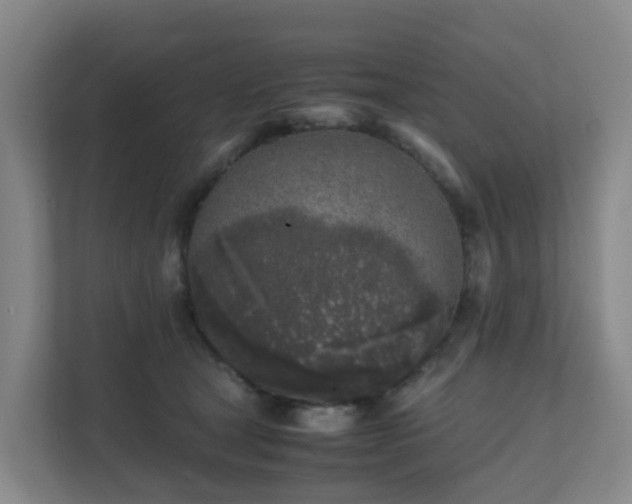 X0000111630465200907241054