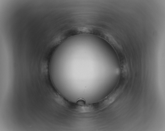 X0000111630466200907241054