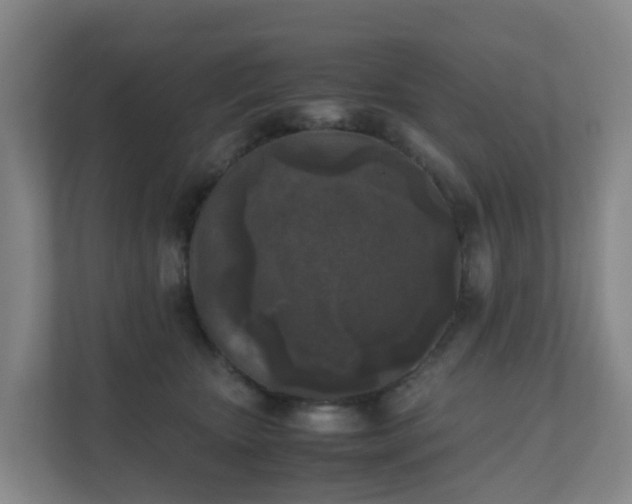 X0000111630467200907241054