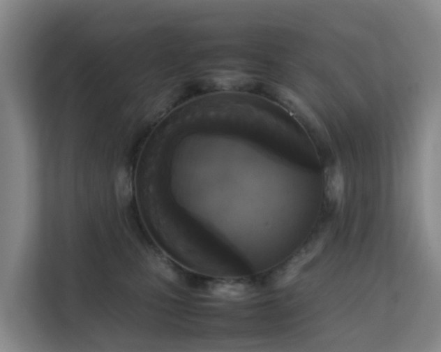 X0000111630471200907241054