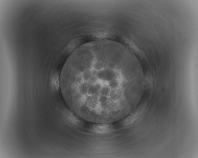 X0000111630479200907241054