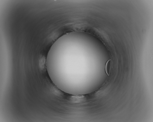 X0000111630480200907241054