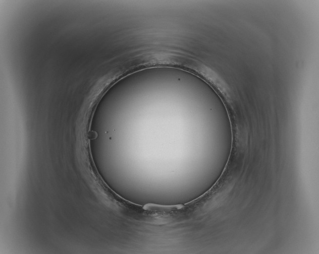 X0000111630481200907241053