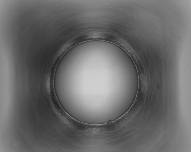 X0000111630482200907241053