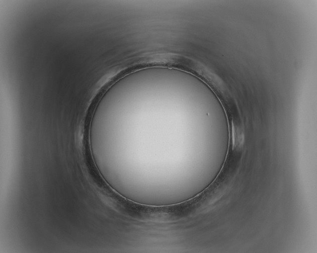 X0000111630483200907241053