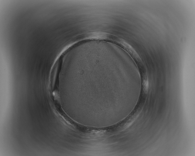 X0000111630484200907241053