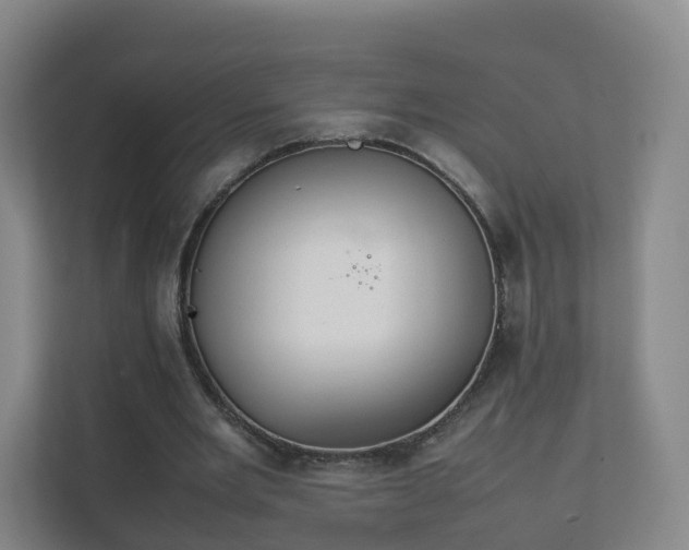 X0000111630485200907241053