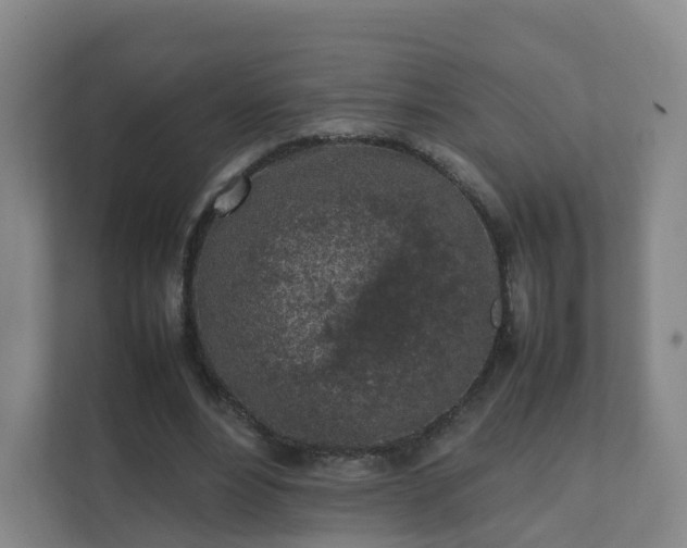 X0000111630488200907241053