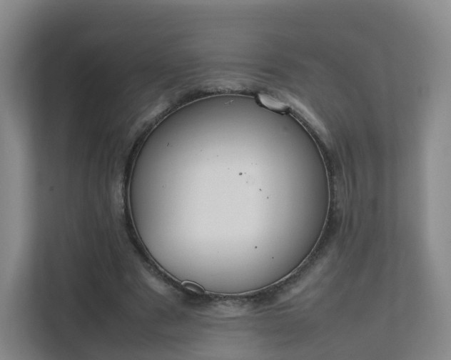 X0000111630489200907241053