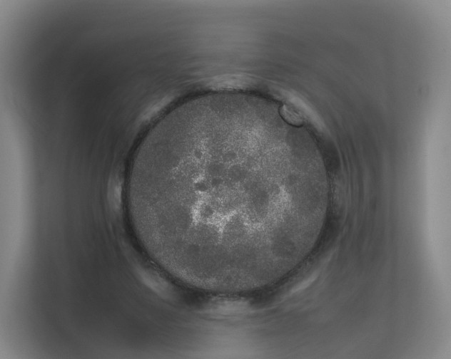 X0000111630491200907241053