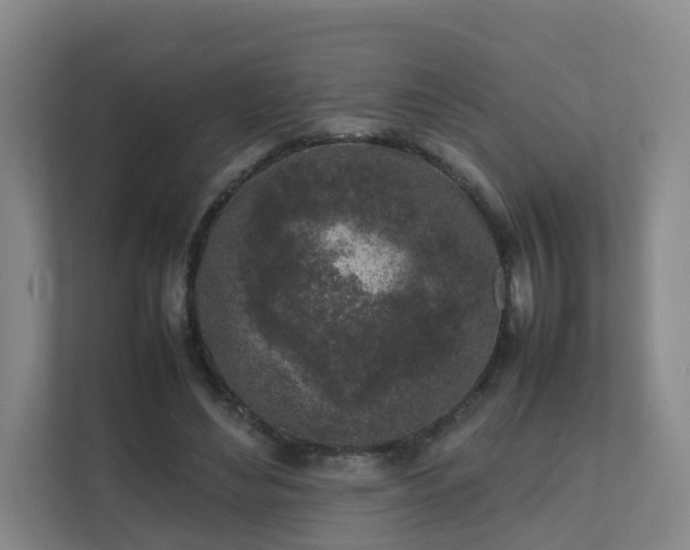 X0000111630492200907241053