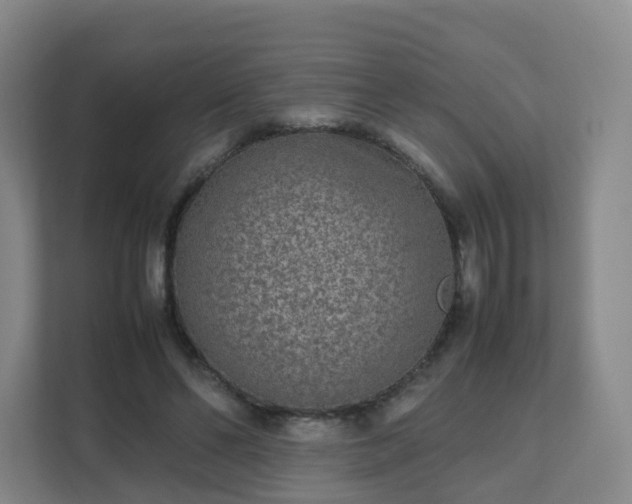 X0000111630494200907241053