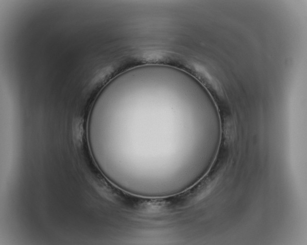 X0000111630495200907241053