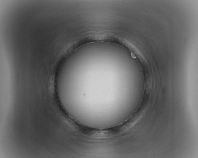 X0000111630497200907241053