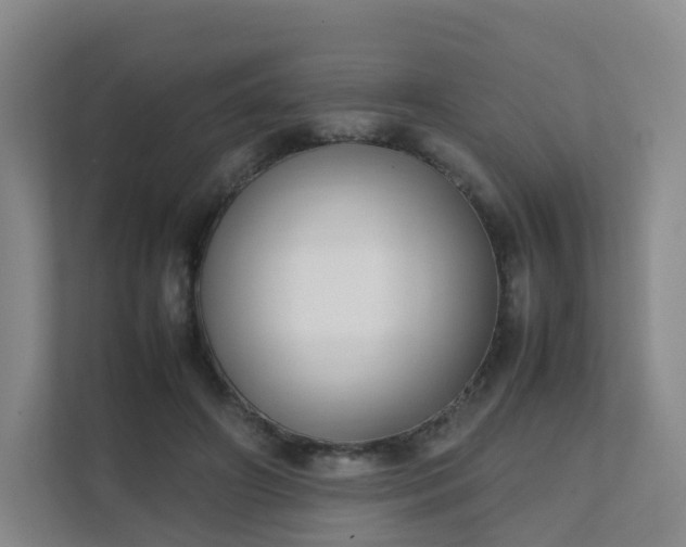 X0000111630498200907241053