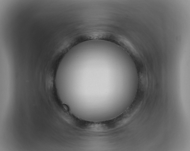 X0000111630499200907241053