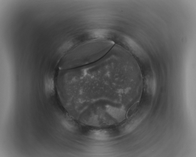 X0000111630500200907241053