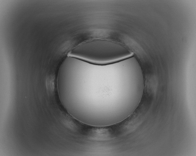 X0000111630501200907241053