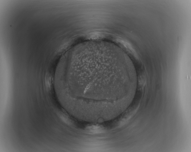 X0000111630503200907241053