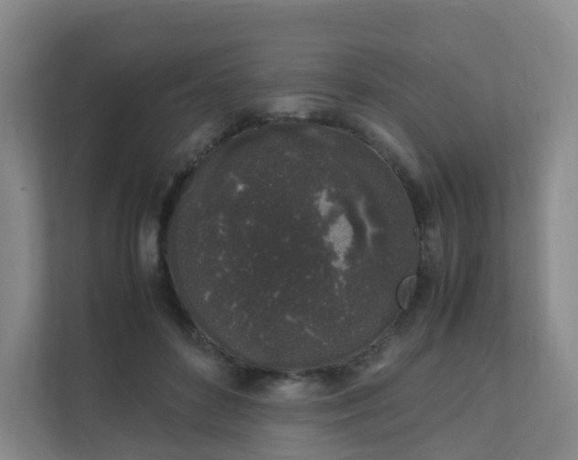 X0000111630504200907241053