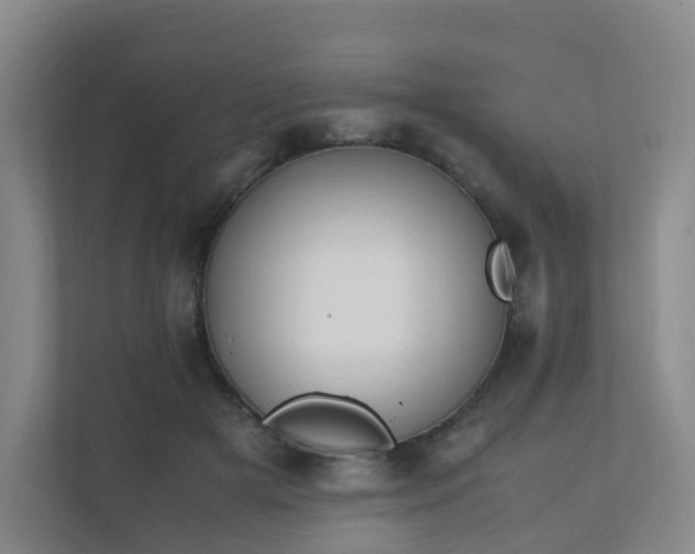 X0000111630505200907241053