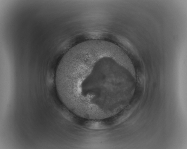 X0000111630507200907241053