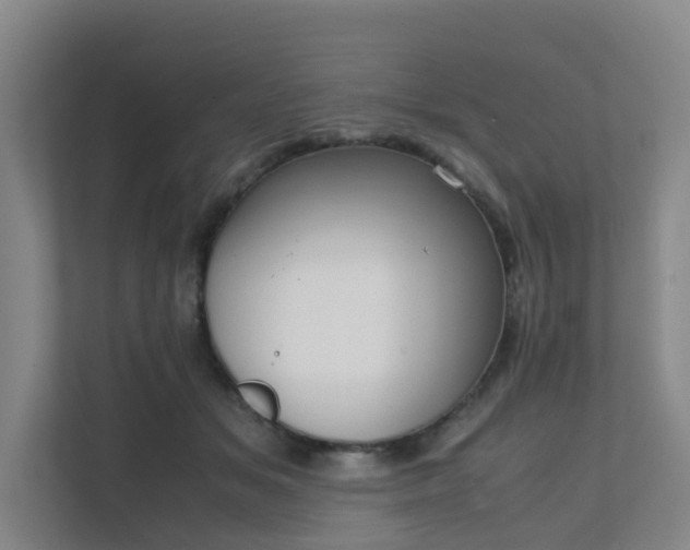 X0000111630509200907241053