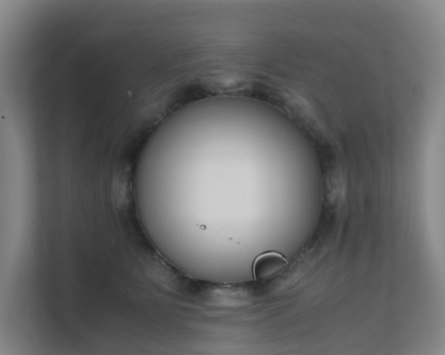 X0000111630515200907241053