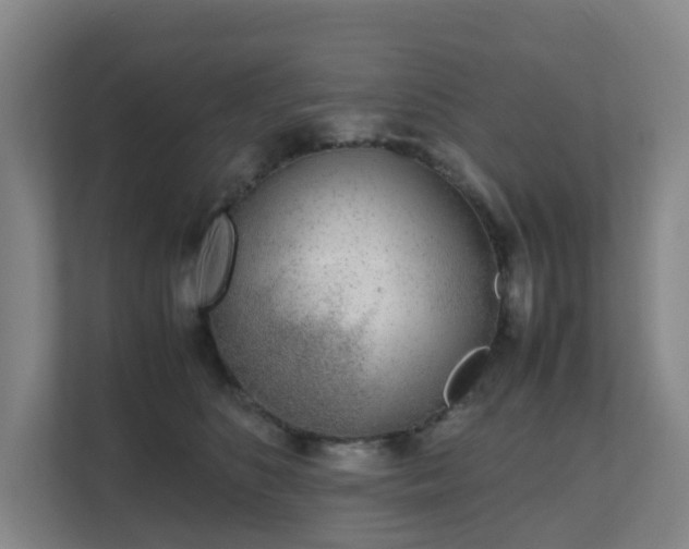 X0000111630516200907241053