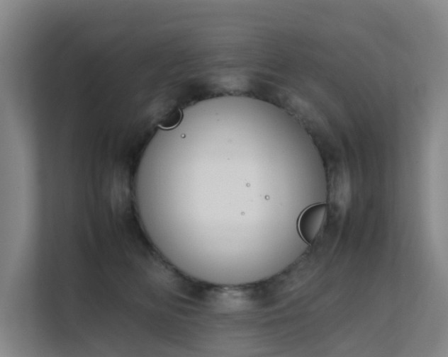 X0000111630518200907241053