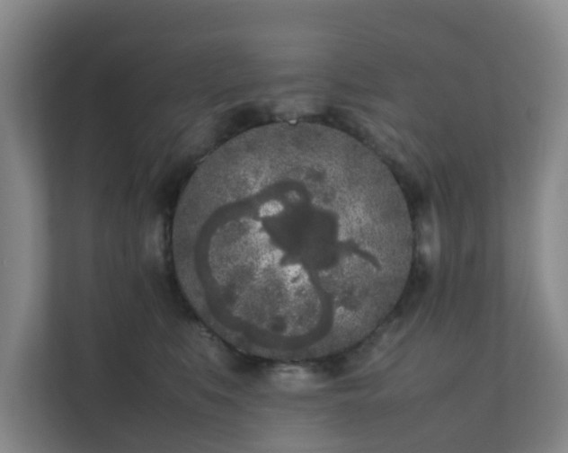 X0000111630519200907241053