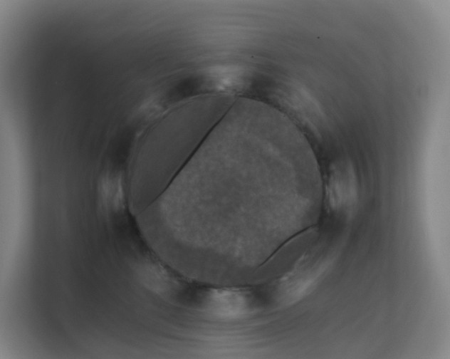 X0000111630520200907241053