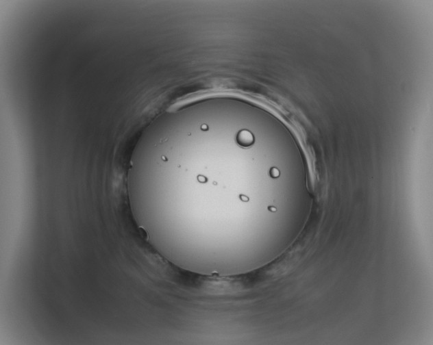 X0000111630521200907241053