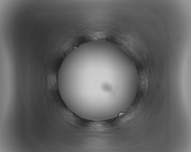 X0000111630523200907241053