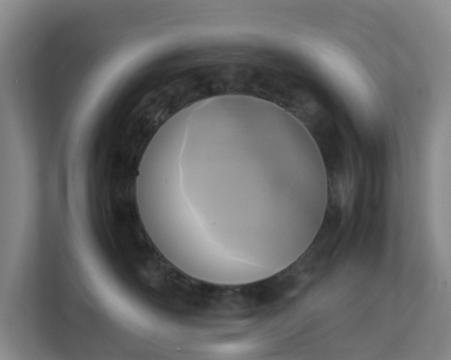 X0000111630526200907241053