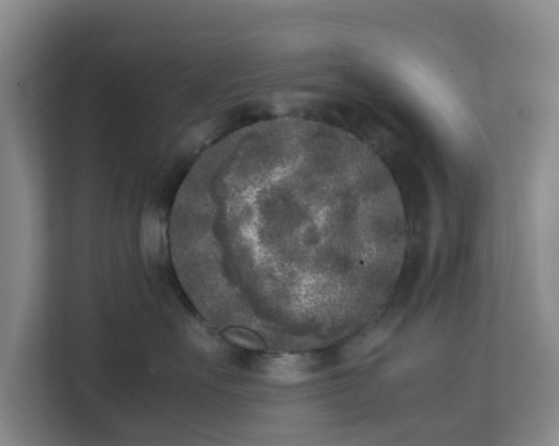 X0000111630527200907241053