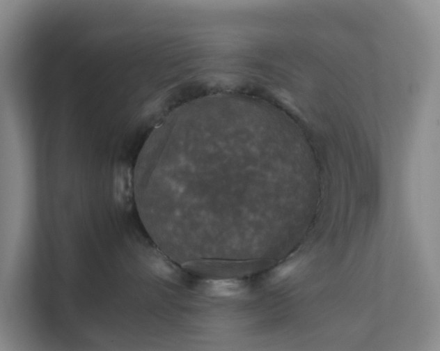 X0000111630528200907241053