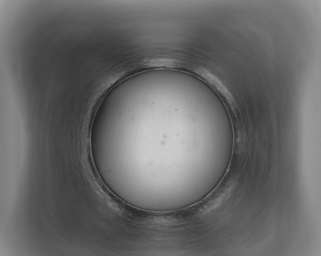 X0000111630529200907241052