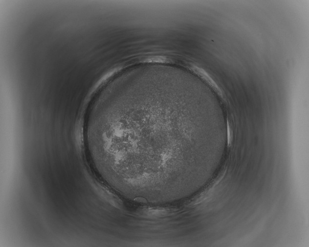 X0000111630531200907241052