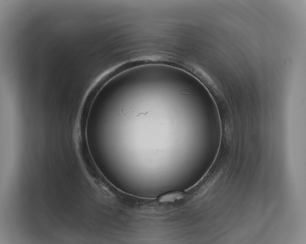 X0000111630532200907241052