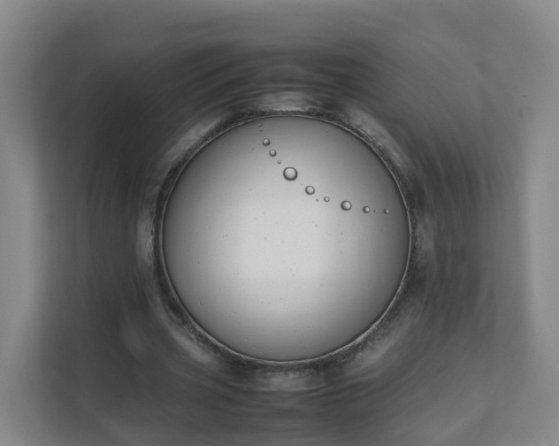 X0000111630533200907241052