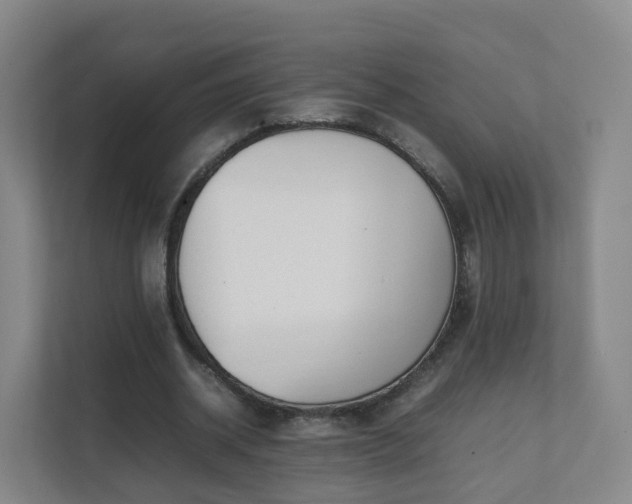 X0000111630534200907241052