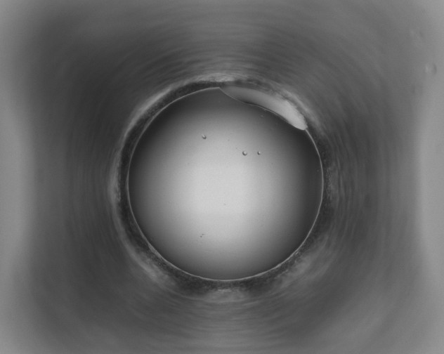 X0000111630536200907241052